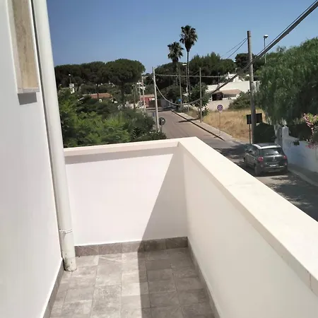 Diana Porto Cesareo